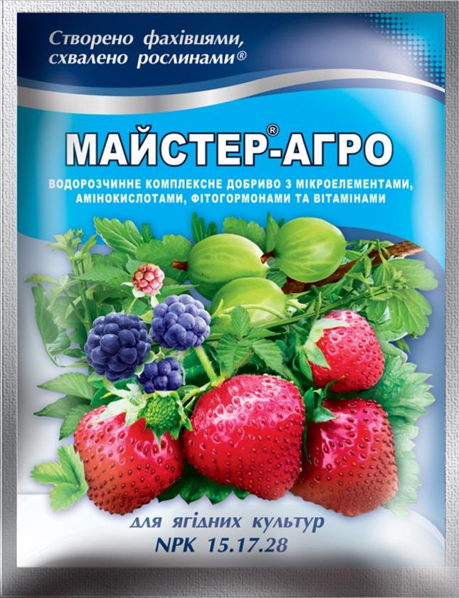 Добриво Майстер-Агро для ягідних культур 100 г (38280128) Добриво Майстер-Агро для ягідних культур 100 г (38280128)