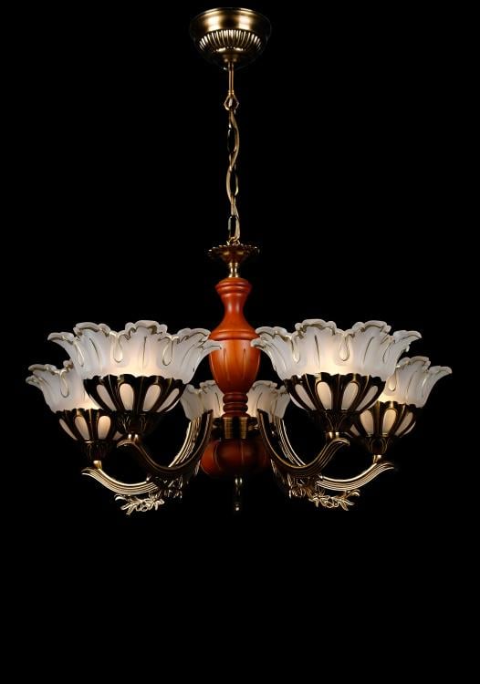 Люстра с плафонами Ray L15013/5 AB (IR006617)