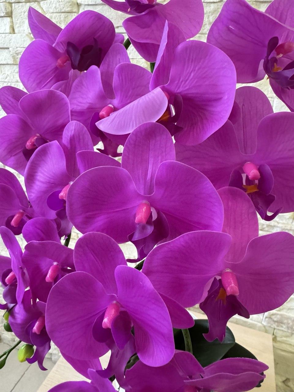 Вазон орхідея ПЛАСТМАКС латексна на дві гілки Бузковий (O26) - фото 3