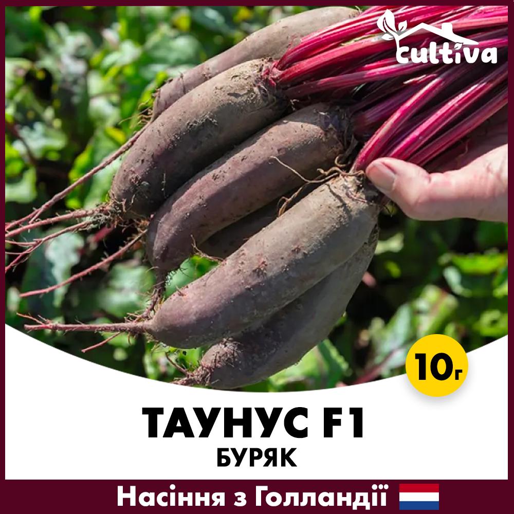 Семена свеклы Bejo Столовый Таунус F1 10 г (0012810G)