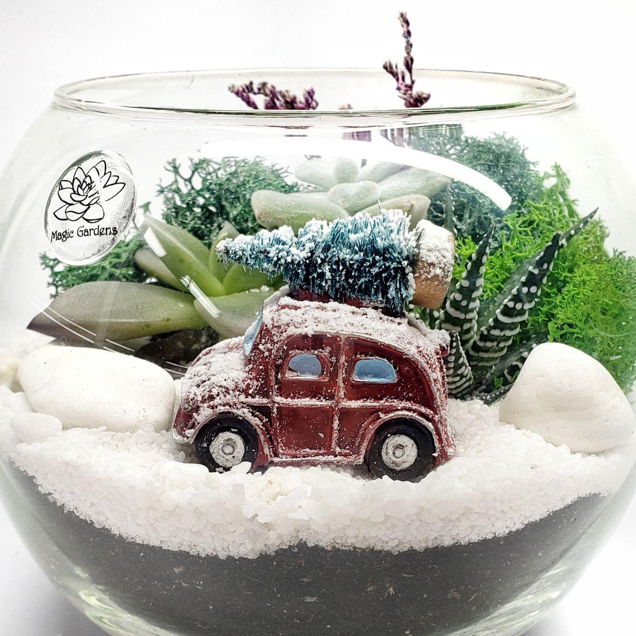 Флорариум новогодний со снегом и суккулентами Машинка 15 см