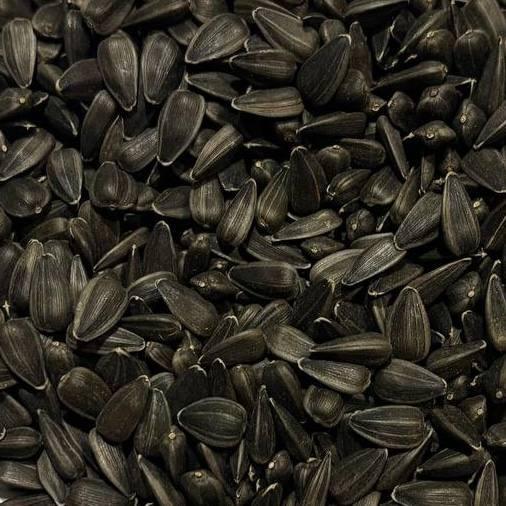 Насіння соняшник необроблене для годівлі птахів та тварин 1 кг (2403424509)