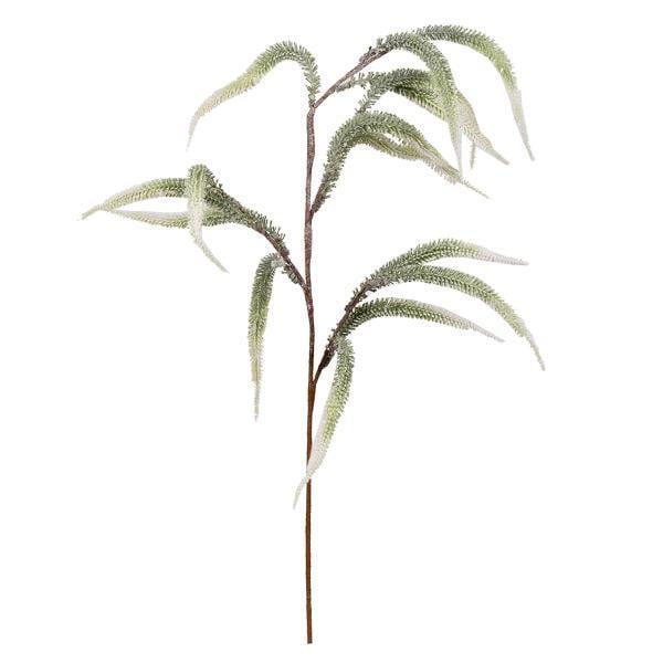 Ветка декоративная Yes! Fun Колосок 75 см заснеженная Светло-зеленый (973954)