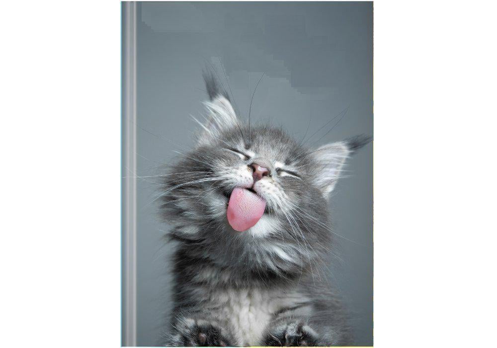 Ежедневник недатированный Economix Color A5 320 стр. принт (E22039)