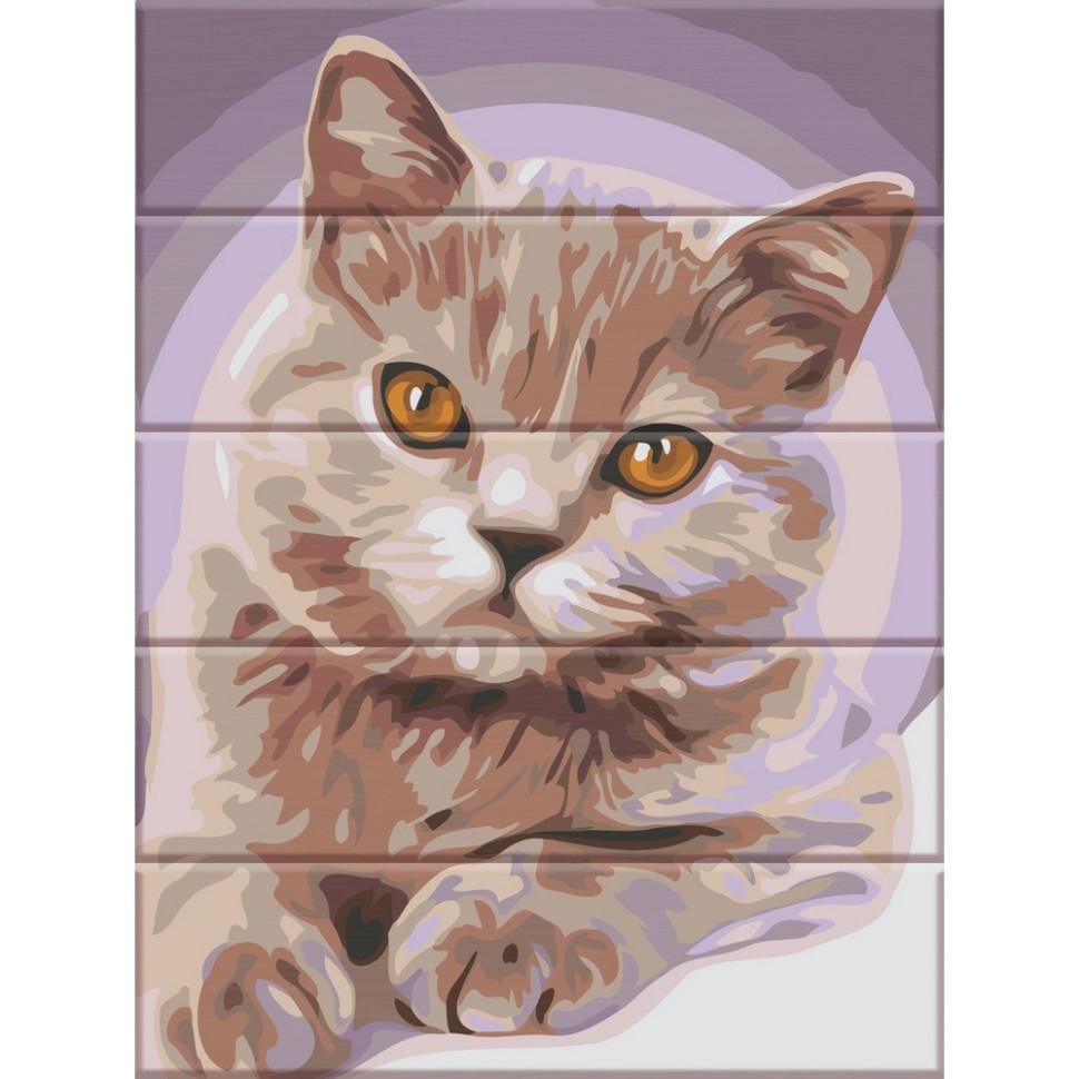 Картина за номерами ArtStory Котик 30x40 см (ASW150)