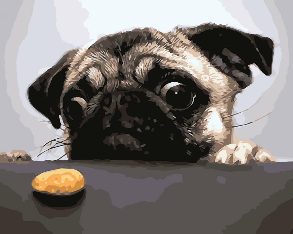 Картина по номерам Art Craft "Недостижимая печеньки" 40x50 (11601-AC)