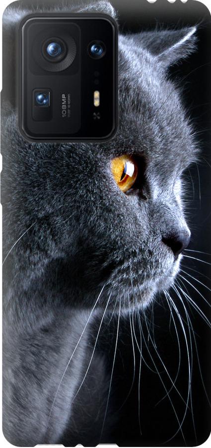 Чехол на Xiaomi Mix 4 Красивый кот (3038u-2475-42517) Чехол на Xiaomi Mix 4 Красивый кот (3038u-2475-42517)