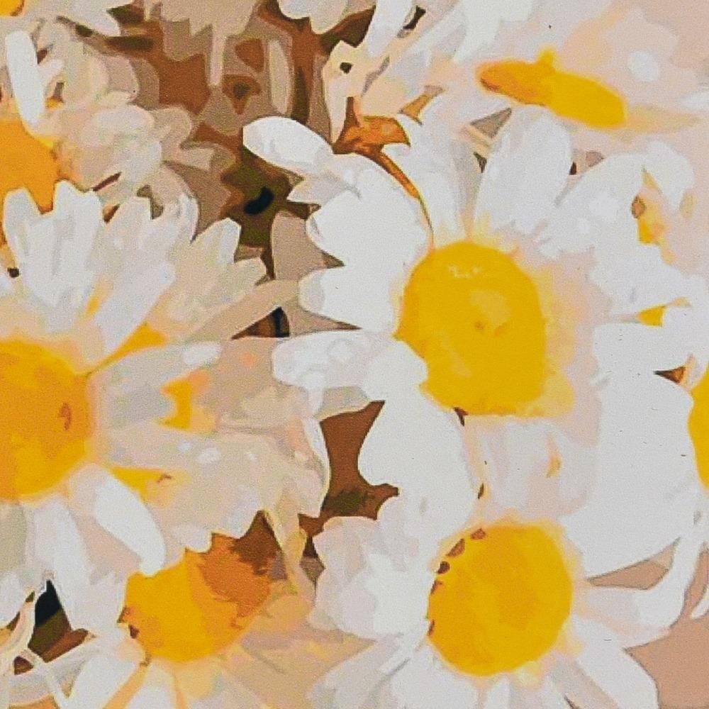 Картина по номерам Strateg Букет ромашек бриллиантовая вышивка мозаика 40x50 см (VM-127-A-277)