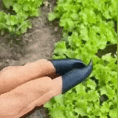 Садові рукавички з 4 кігтями Garden Genie Gloves універсальний розмір (id_2317) - фото 2 Садові рукавички з 4 кігтями Garden Genie Gloves універсальний розмір (id_2317) - фото 2