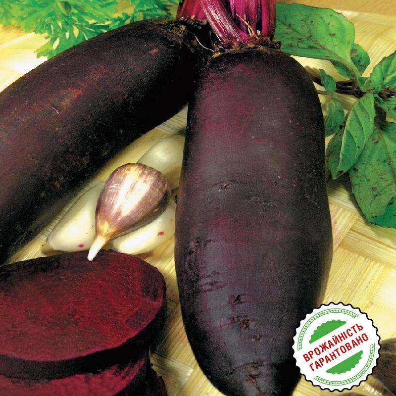 Семена Свекла Florium Цилиндра столовая (4167)