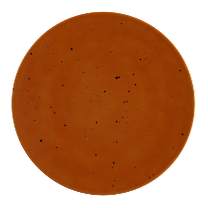 Тарілка плоска Seltmann Weiden Country Life Terracotta Coup Fine Dining 28 см (2507515)