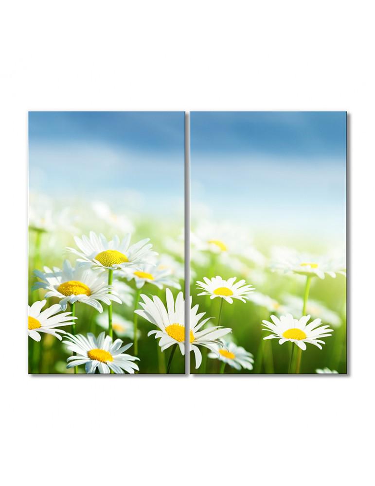 Картина модульная Сказочные ромашки 2 модуля 50x75 см