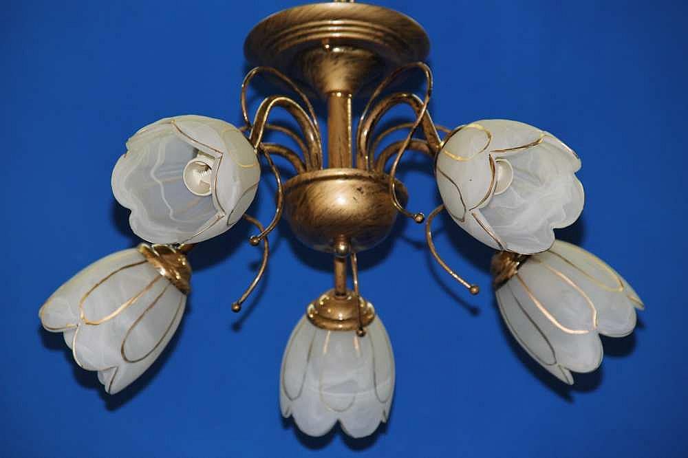 Люстра с плафонами Ray L19074/5 (IR005829)