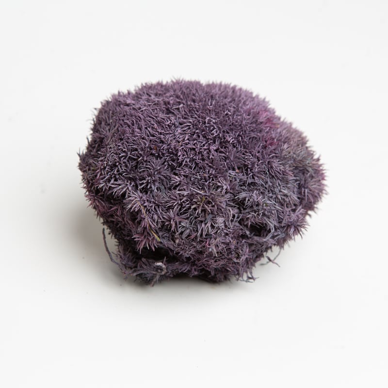 Мох стабилизированный Green Ecco Moss Кочка Лавандовое 250 грамм.