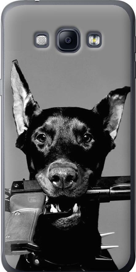 Чехол на Samsung Galaxy A8 A8000 Доберман (2745u-135-42517)
