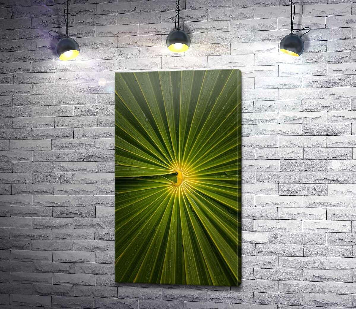 Картина ArtPoster Узор пальмового листа сблизи 73x130 см Модуль №1 (003820)