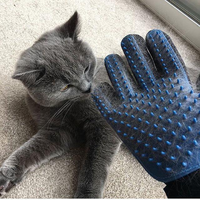 Перчатка для вычесывания шерсти True Touch Pet Glove (967) - фото 2