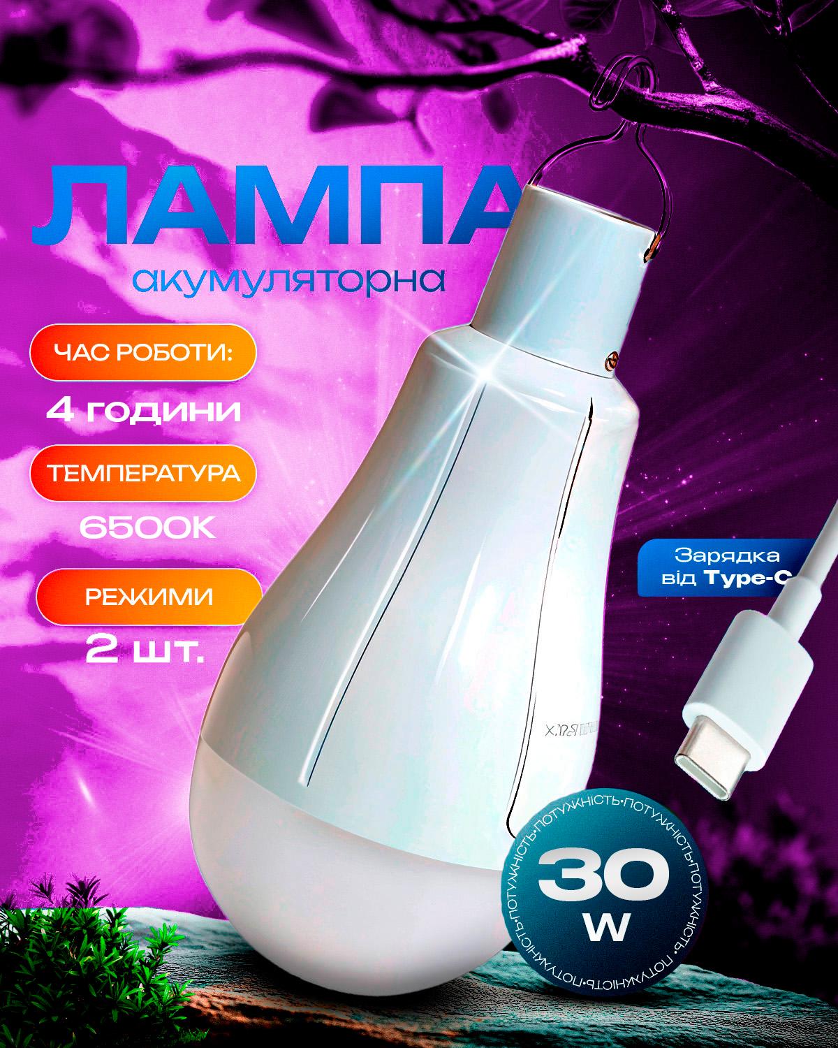 LED-лампа автономная AVA на аккумуляторе/3 режима E27 30 Вт White (553459458) - фото 2