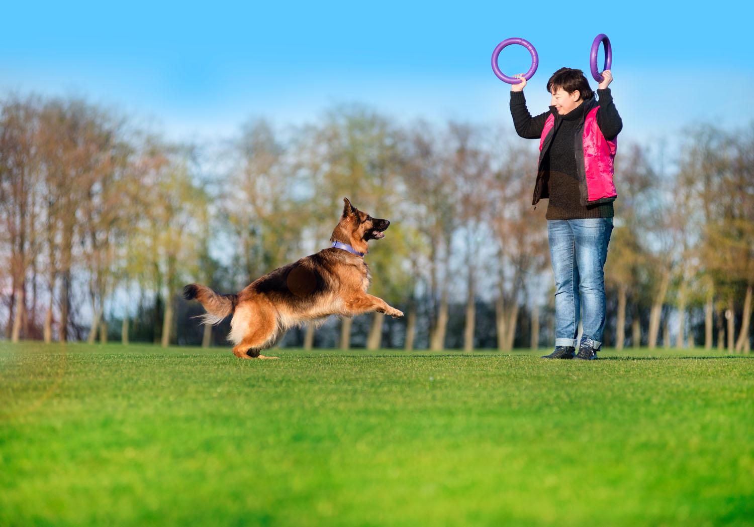 Тренувальний снаряд для собак Puller Standard 28 см (6490) - фото 22