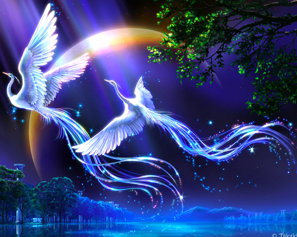 Набор алмазной мозаики Ночные птицы без подрамника 40х50 см (АЛМ-088)