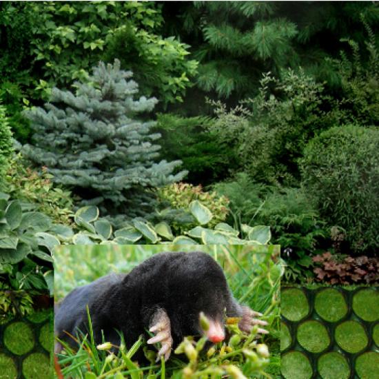 Сітка садова Fusion від кротів пластик 6х8 мм 2х30 м (14116380) - фото 5 Сітка садова Fusion від кротів пластик 6х8 мм 2х30 м (14116380) - фото 5