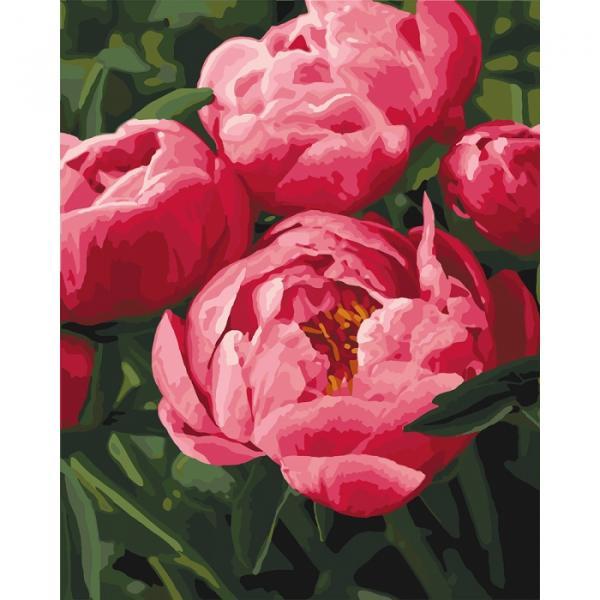 Набор для росписи по номерам Идейка Цветы любимые цветы 40х50 см (КНО3049-mt)