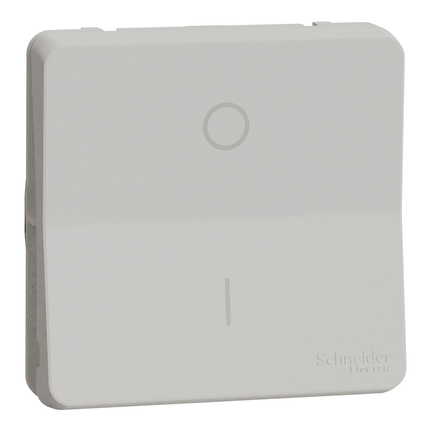 Механизм переключателя Schneider Electric Mureva Styl двухполюсный IP55 Белый (MUR39033) Механизм переключателя Schneider Electric Mureva Styl двухполюсный IP55 Белый (MUR39033)