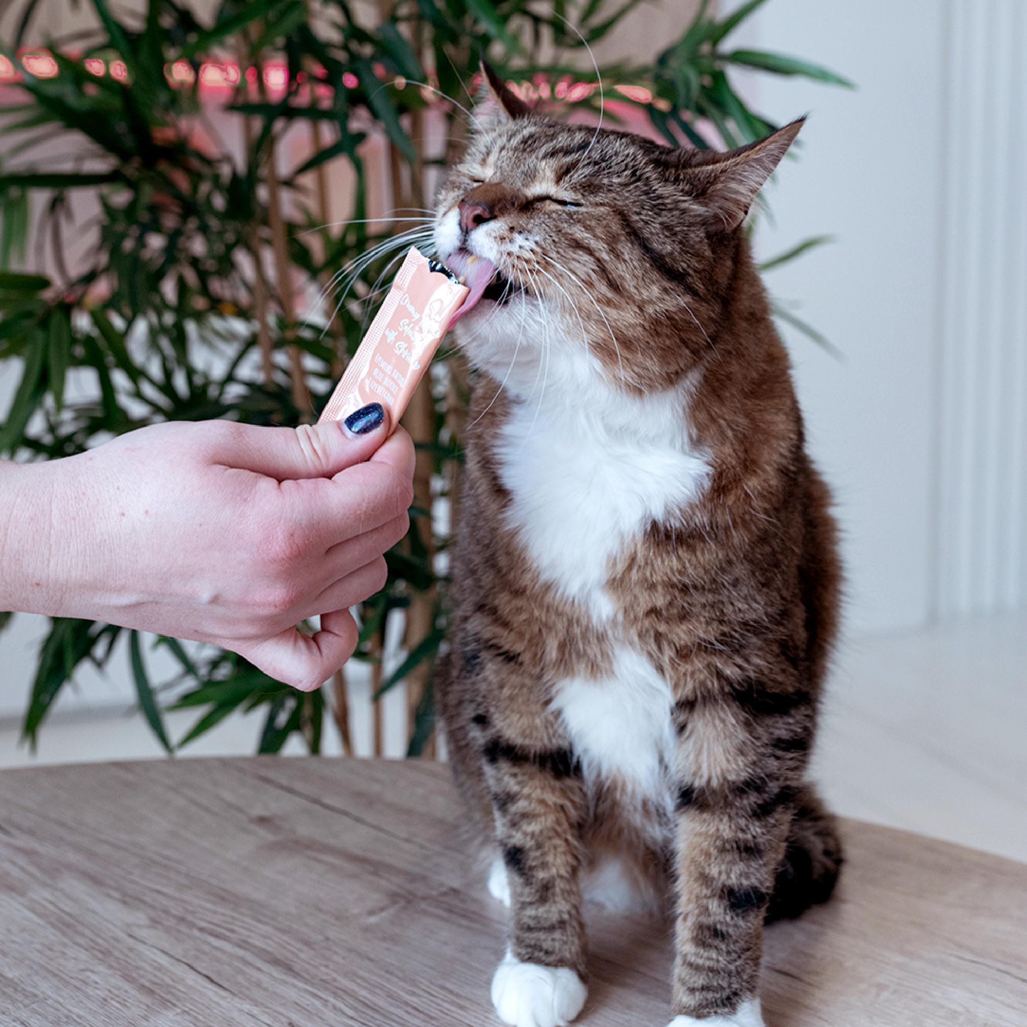 Ласощі для котів MAVSY Creamy lickable treats salmon with shrimp for cats Лосось з креветками 5 шт. 15 г (13501968) - фото 7 Ласощі для котів MAVSY Creamy lickable treats salmon with shrimp for cats Лосось з креветками 5 шт. 15 г (13501968) - фото 7