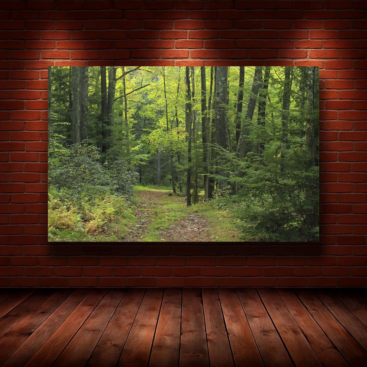 Картина на холсте Природа 50х70 см (N646)