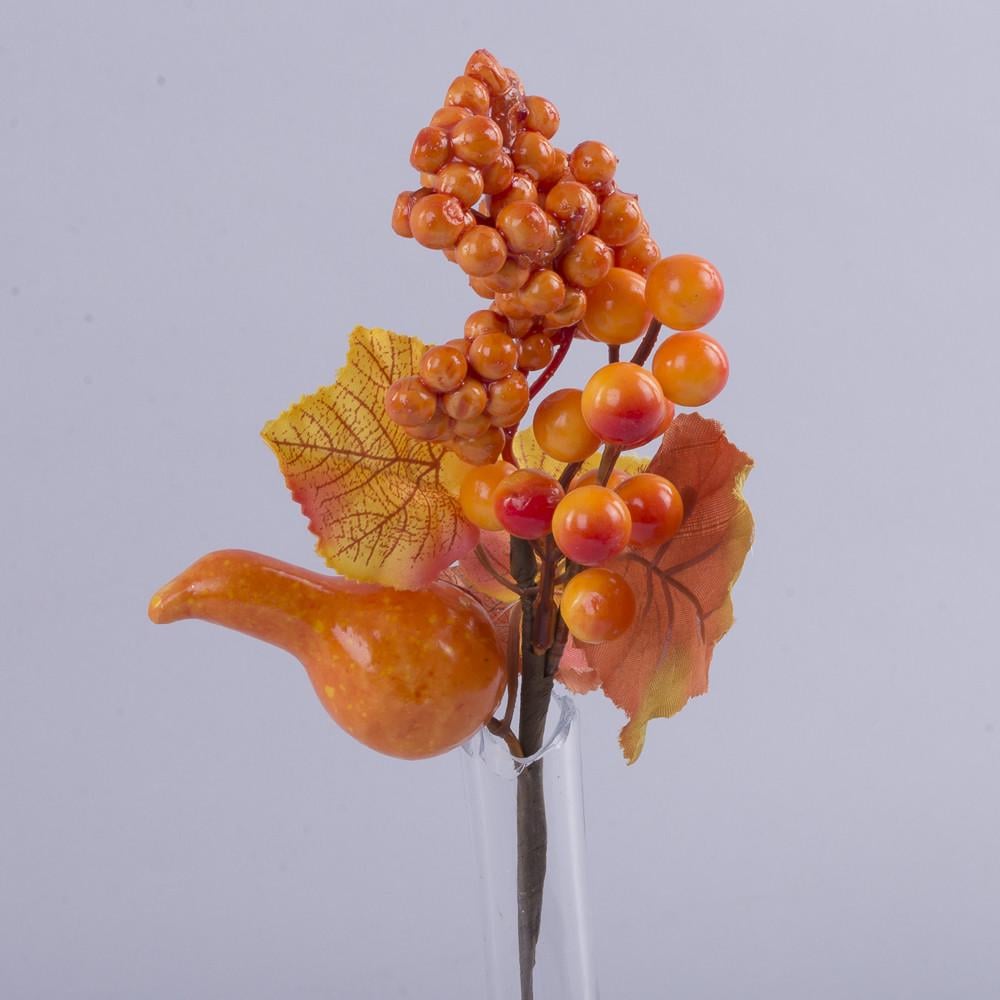 Пучок тыква осенний (2599)