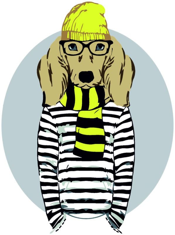 Картина по номерам Rosa Stylish Dog 35х45 см (N00013265)