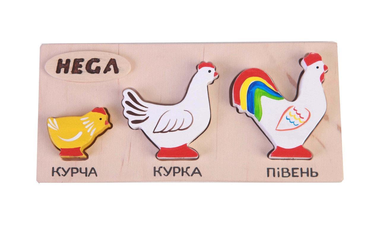 Набор рамка-вкладыш HEGA Куры с объёмными фигурками и карточками (128)
