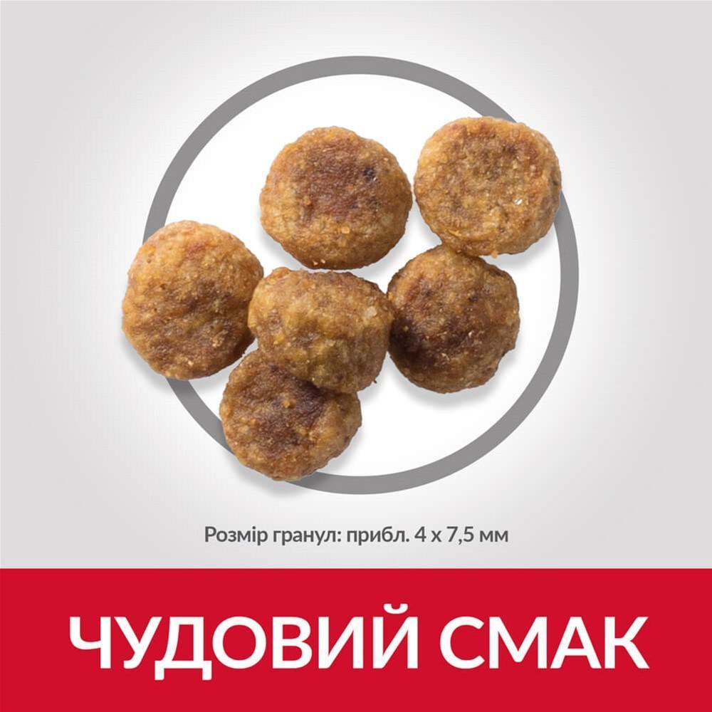 Сухой корм для взрослых собак мелких пород Hill's SP  Small&Mini Lamb&Rice с ягненком и рисом 300 г (052742008202) - фото 4