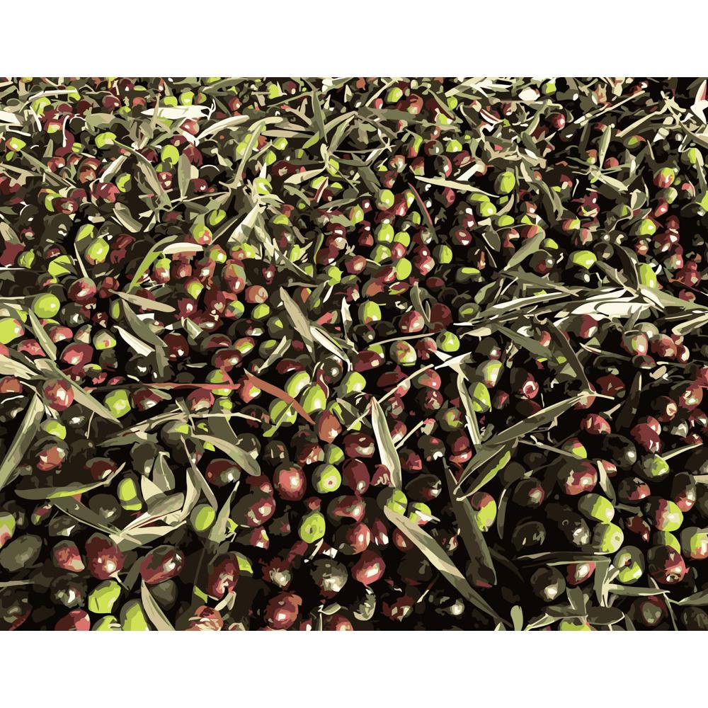 Картина по номерам Strateg Премиум Сочный кизил 40х50 см (DY123)