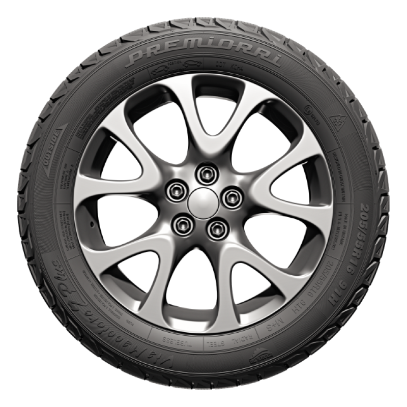 Шина зимова PREMIORRI ViaMaggiore Z Plus 195/65R15 91H (2417957610) - фото 4