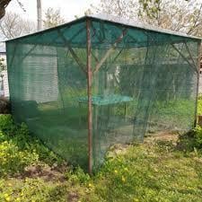 Сітка затінююча Growtex 70% для захисту рослин 2х50 м Зелений - фото 5 Сітка затінююча Growtex 70% для захисту рослин 2х50 м Зелений - фото 5