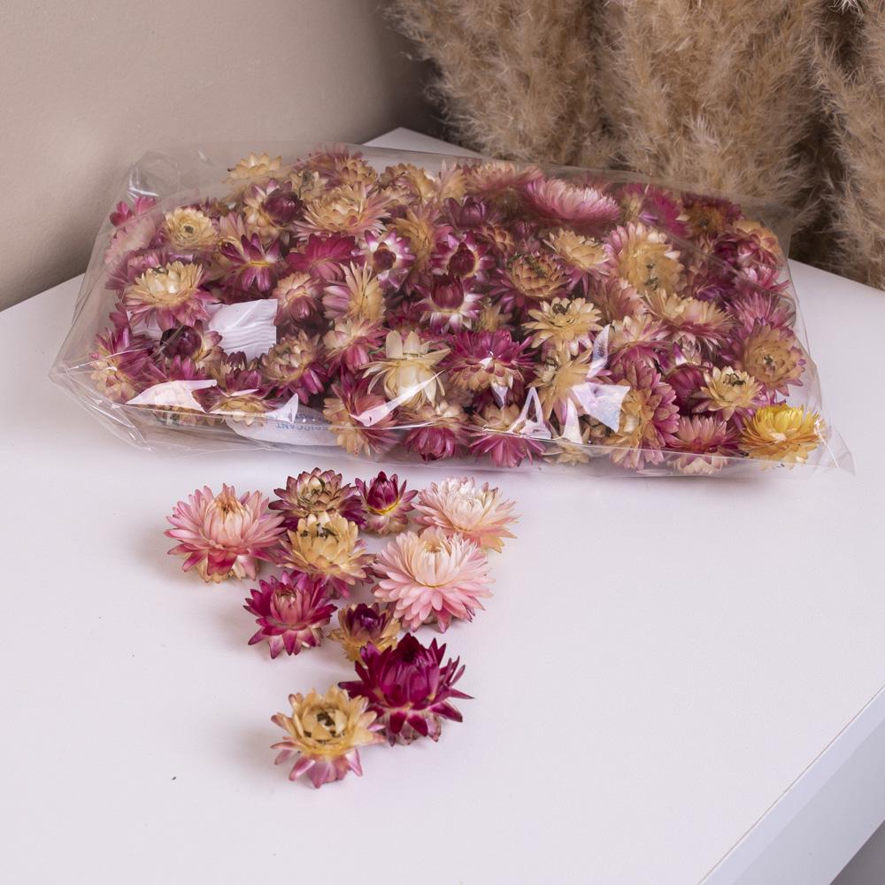 Сухоцвет гелихризум одуванчик (ST00179)