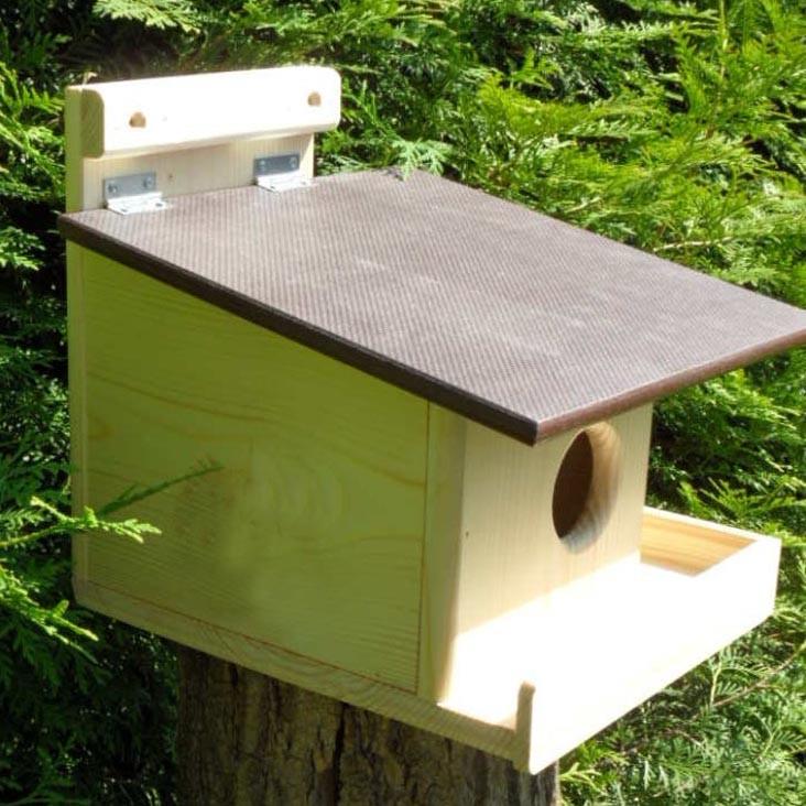 Домик для белок из дерева Кокос Бланже/Капучино (ДДБ-00140109) - фото 3 Домик для белок из дерева Кокос Бланже/Капучино (ДДБ-00140109) - фото 3