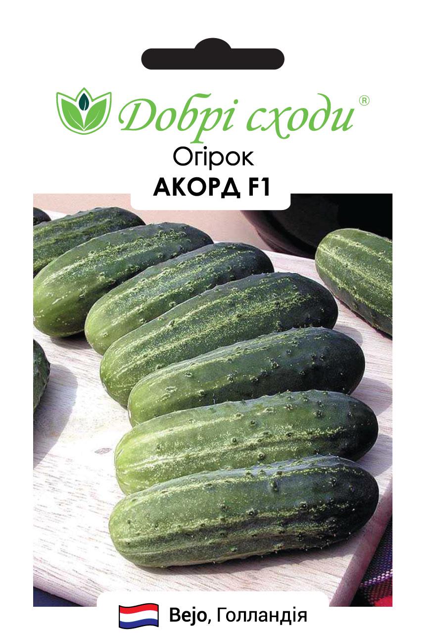 Семена огурец Акорд F1 Добрі Сходи 50 шт. (30160001)