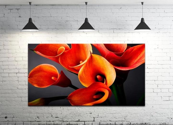 Картина на холсте DK Калли 50х100 см (DKP50100-c271)