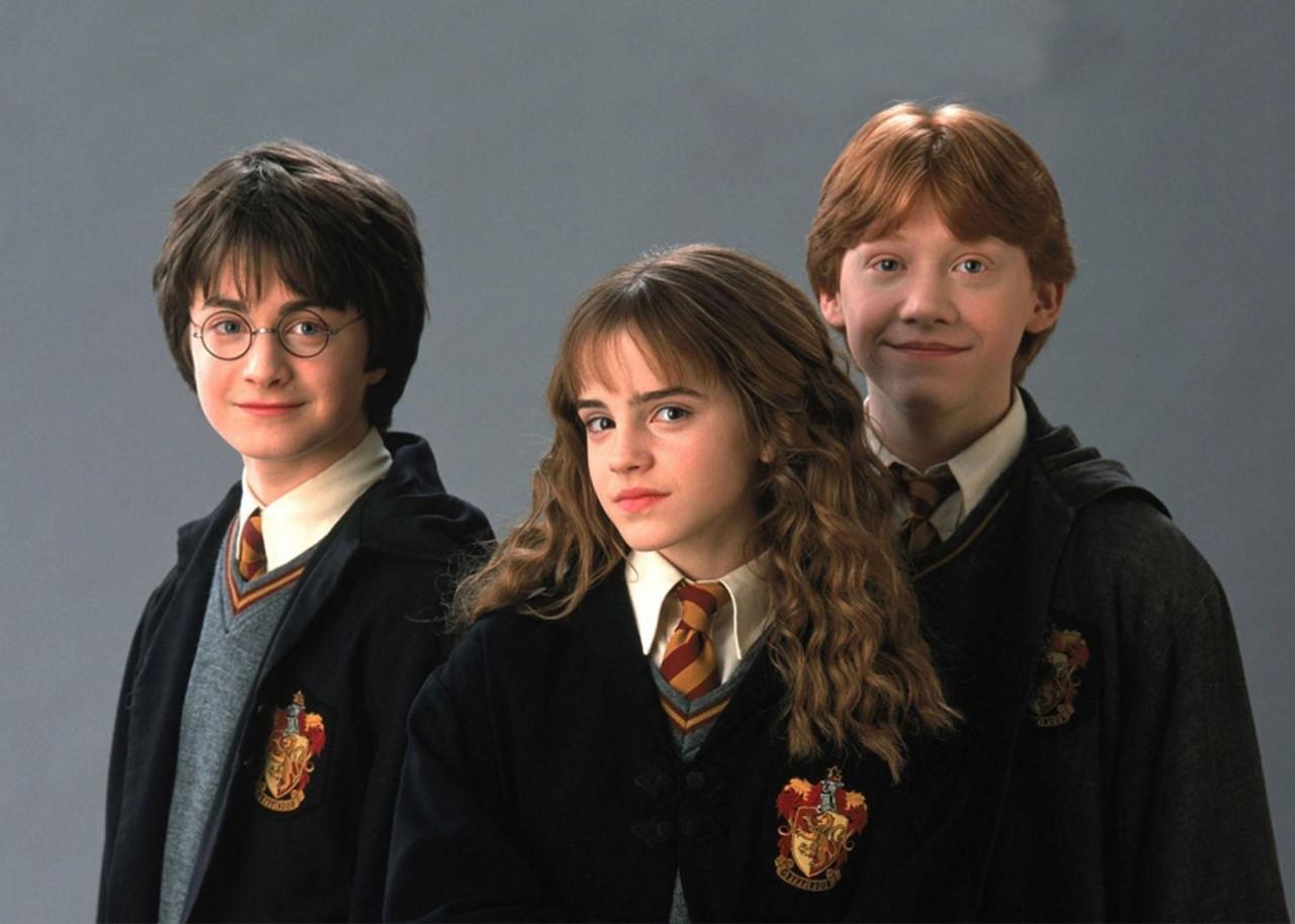 Картина постер Gee! Harry Potter Гарри Поттер 60х40 см HP 09.019