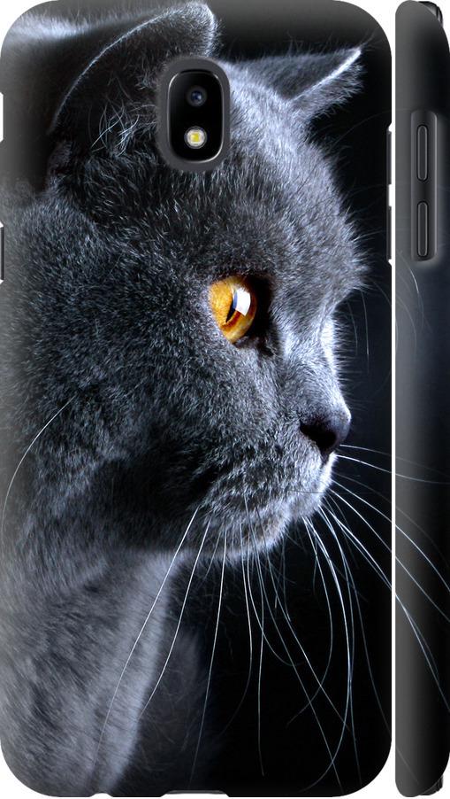 Чехол на Samsung Galaxy J5 J530 (2017) Красивый кот (3038m-795-42517) Чехол на Samsung Galaxy J5 J530 (2017) Красивый кот (3038m-795-42517)