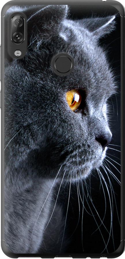 Чехол на Lenovo K5 Pro Красивый кот (3038u-1608-42517)