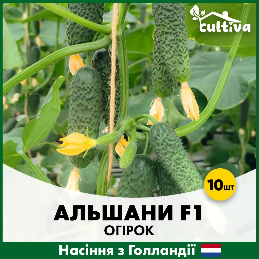 Семена огурца Bejo Ольшаны F1 10 шт. (alsh-10)