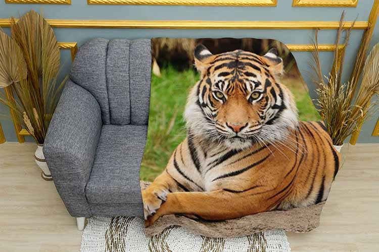 Плед Proud tiger плюш однослойный 135х150 см (113472) Плед Proud tiger плюш однослойный 135х150 см (113472)