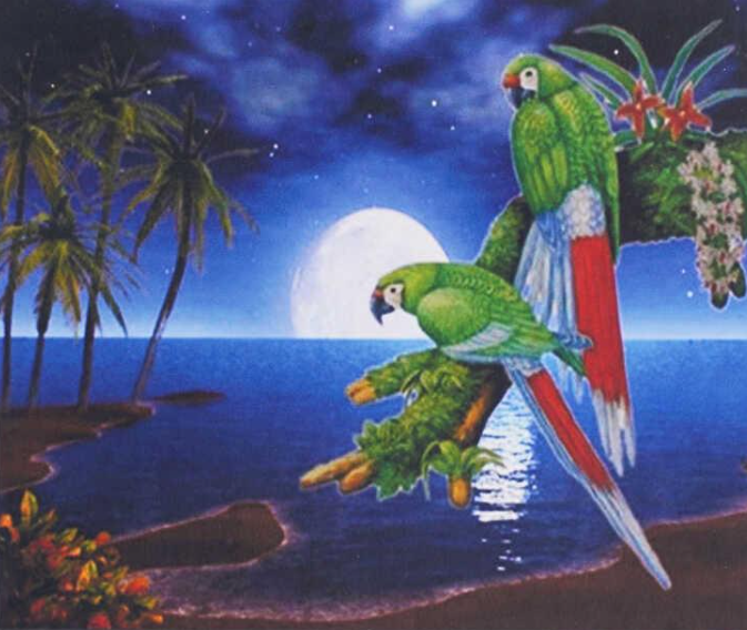 Картина за номерами TK Group 31676 30 Папуги 40х30 см (121717)