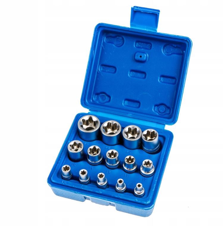 Набір торцевих головок із внутрішнім шліцем TORX E4-E24 14 шт. (17309347722) Набір торцевих головок із внутрішнім шліцем TORX E4-E24 14 шт. (17309347722)