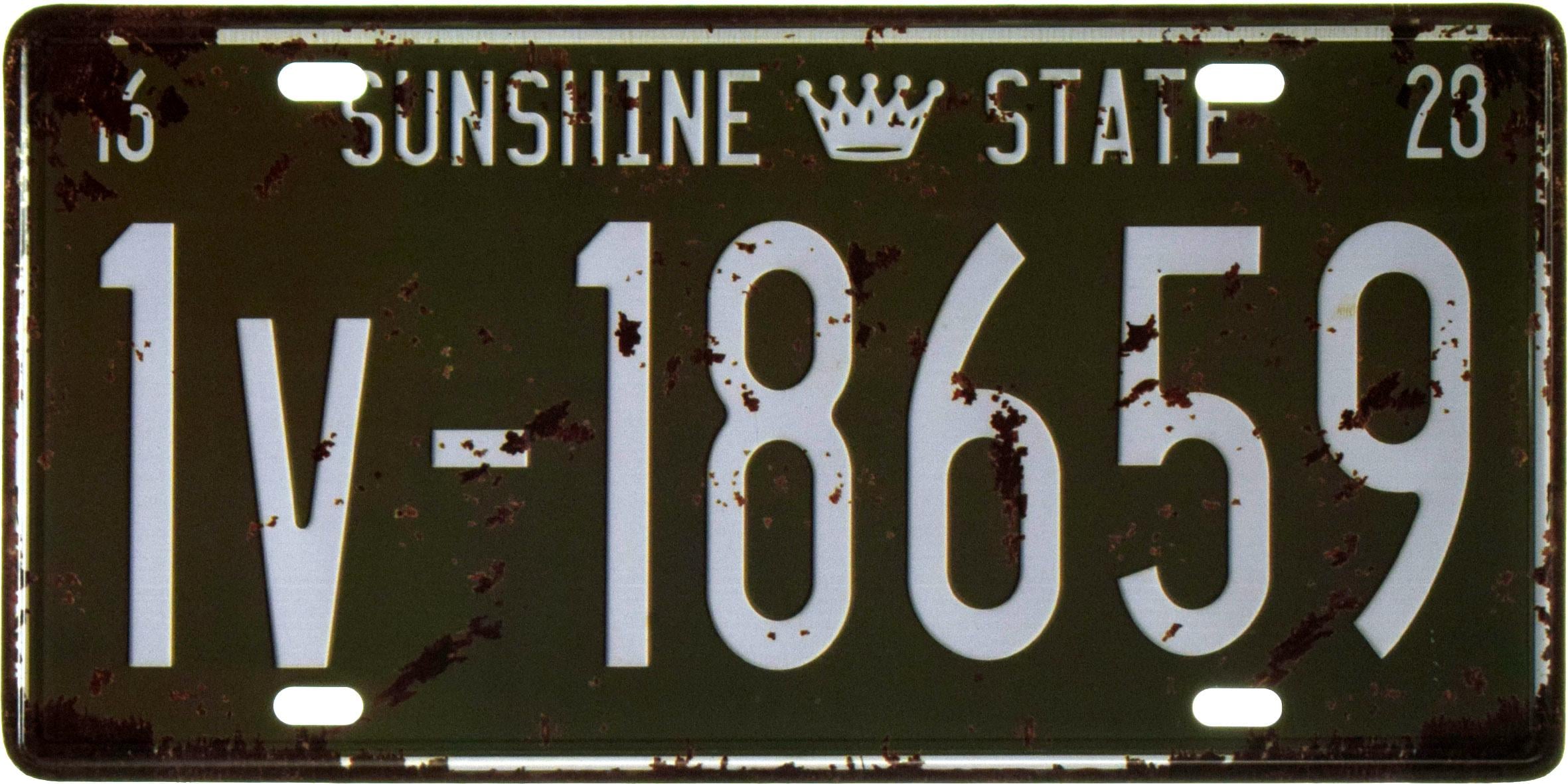 Табличка металлическая Солнечный Штат Флорида/Sunshine State 1v-18659 15x30 см