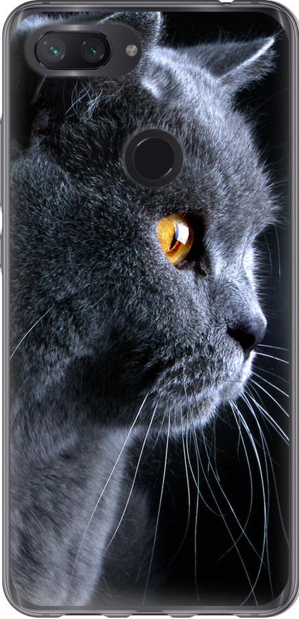 Чехол на Xiaomi Mi 8 Lite Красивый кот (3038t-1585-42517)