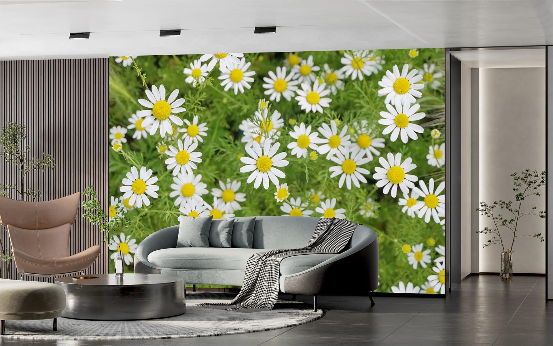 Фотообои флизелиновые Styleo Print-walls Ромашки 0217 350х270 см (Pw-0217/3) Фотообои флизелиновые Styleo Print-walls Ромашки 0217 350х270 см (Pw-0217/3)